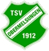 TSV Obermelsungen II